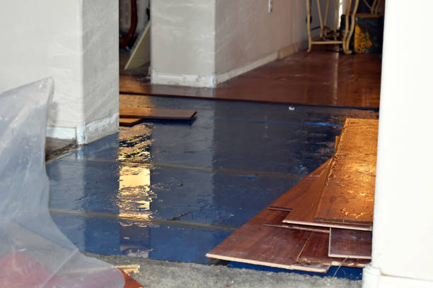 Professional Basement Flood Cleanup technician working in Prudenville, MI